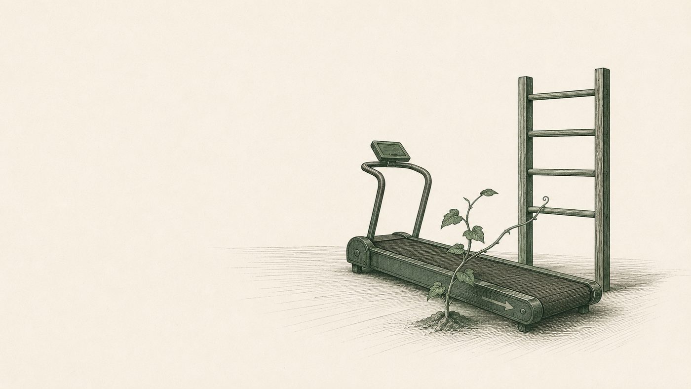 Growing vine on a treadmill conveyor